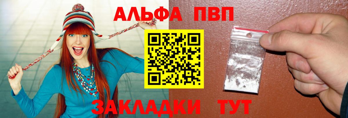 Альфа ПВП СК КРИС Геленджик