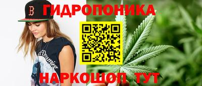 гидра Нарткала