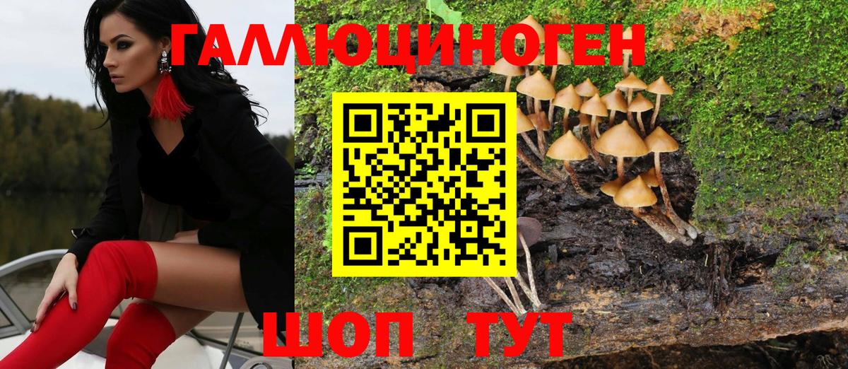 Галлюциногенные грибы Psilocybe  Псилоцибиновые грибы мицелий  Геленджик  Вход с VPN 