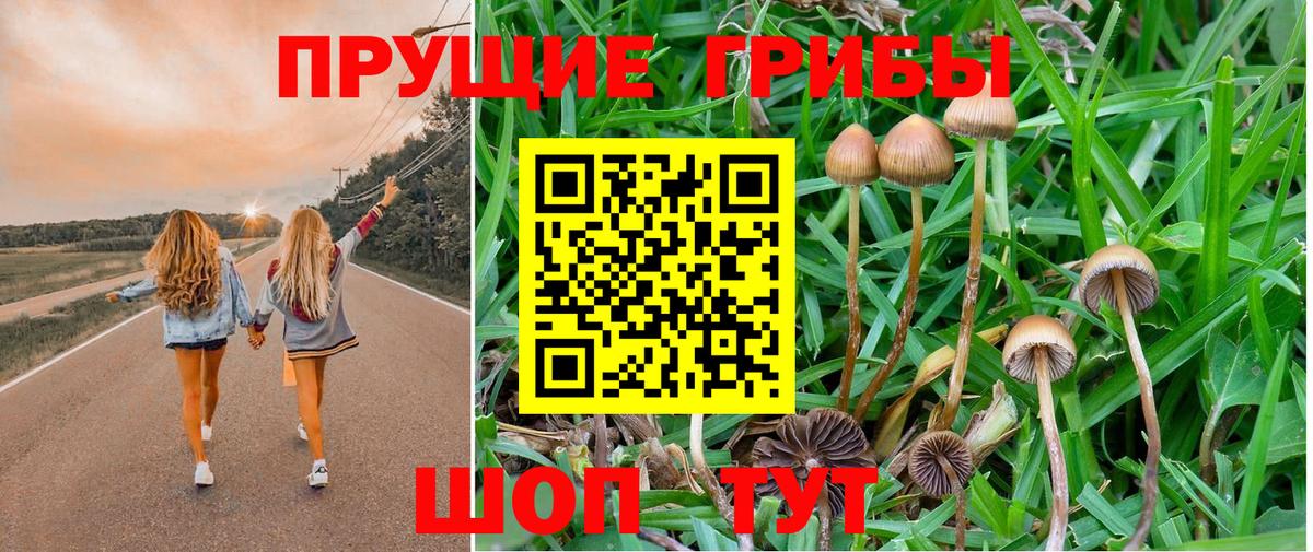 Галлюциногенные грибы ЛСД Геленджик
